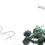Lavanda promuove la fiducia