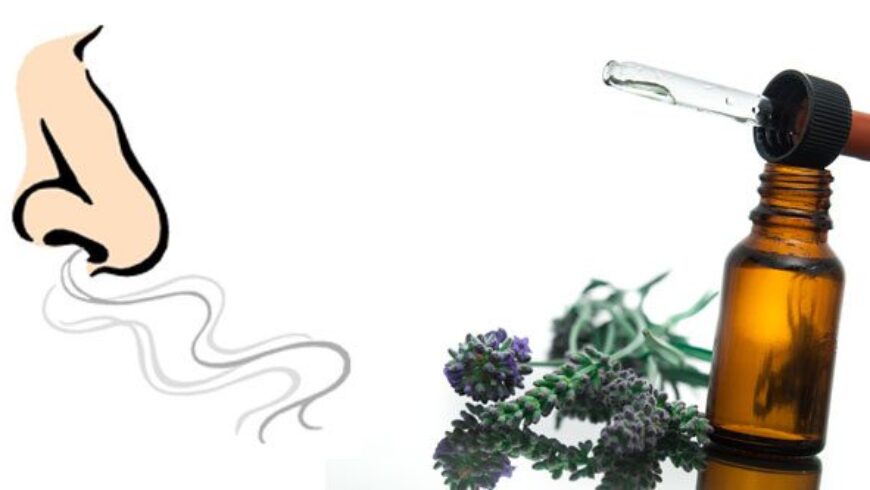 L’aroma di lavanda promuove la fiducia!
