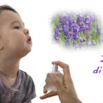 Idrolato di Lavanda
