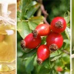 Oli vegetali, quale scegliere?