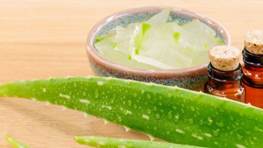 Come utilizzare il gel di aloe per pelle e capelli
