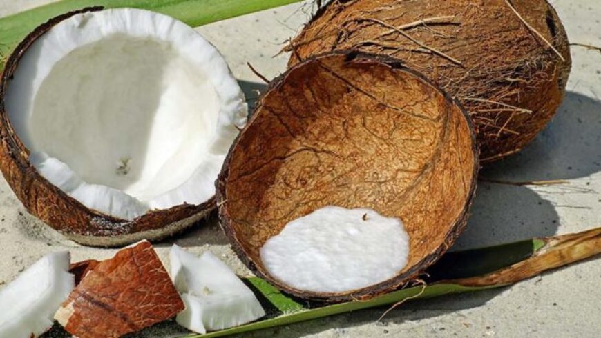 Olio di cocco prima o dopo la doccia?