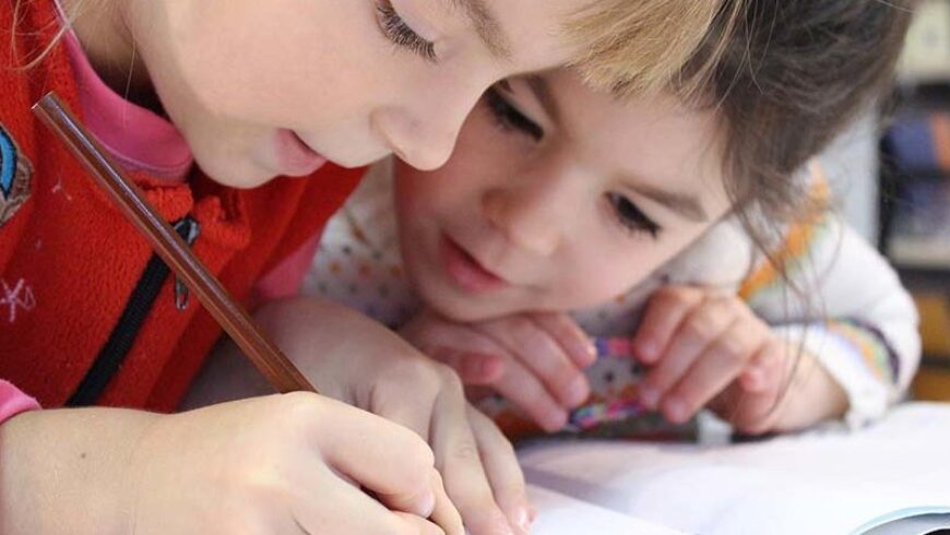 6 Oli essenziali per la scuola