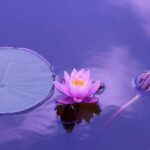 Meditazione