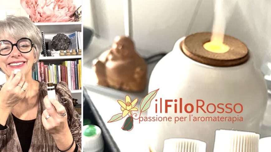 Tante idee su come usare gli oli essenziali nel diffusore