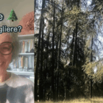 Oli essenziali dalle conifere