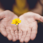 Aromaterapia e Alzheimer