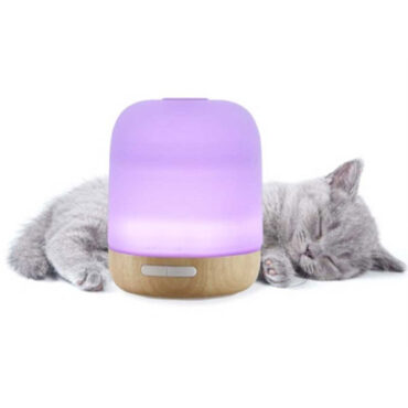Diffusore di aromi in vetro e legno