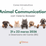 Corso Animal Comunicator