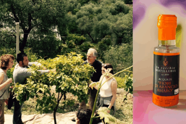 Viaggio alla raccolta e distillazione dei Fiori d’Arancio