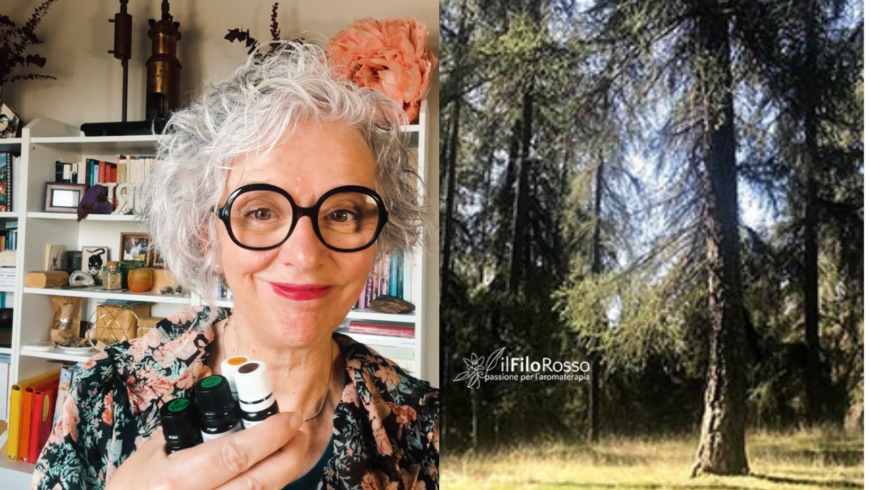 Oli essenziali per l’autunno